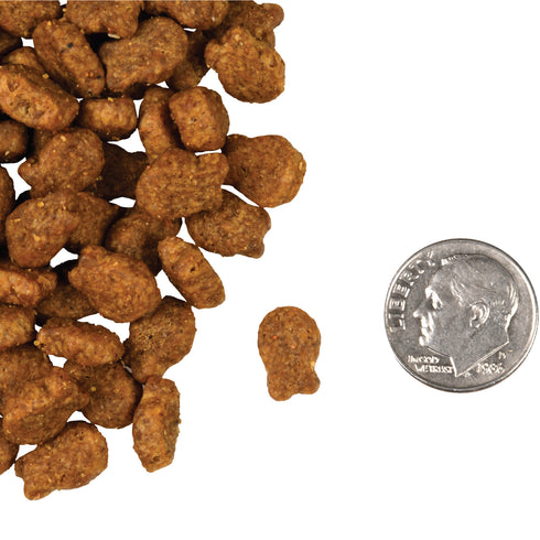 Fromm Four-Star Grain Free Dry Cat Food - Salmon Tunachovy - 4lb Bag